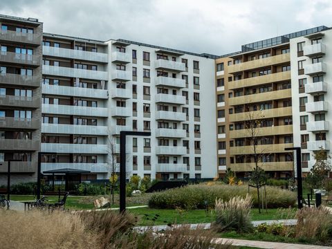 Что такое ландшафтный дизайн полного цикла и почему это важно для бизнес+