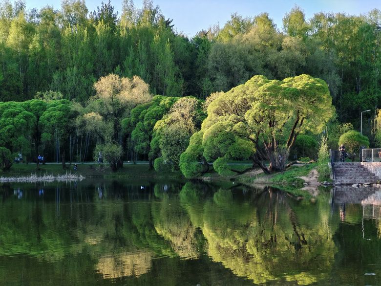 Какие гарантии приживаемости предлагают питомники и как их проверить?